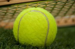 网球赛场焦点！阿根廷队对阵荷兰队，年轻新星表现惊艳，未来可期