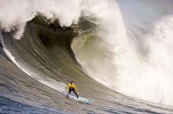 王楚钦手感滚烫，带领明尼苏达森林狼横扫上海海港，赛后一句话霸气侧漏
