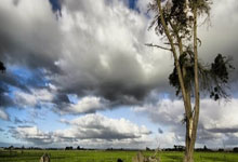 澳大利亚跳水队表现不佳，排名下滑的简单介绍